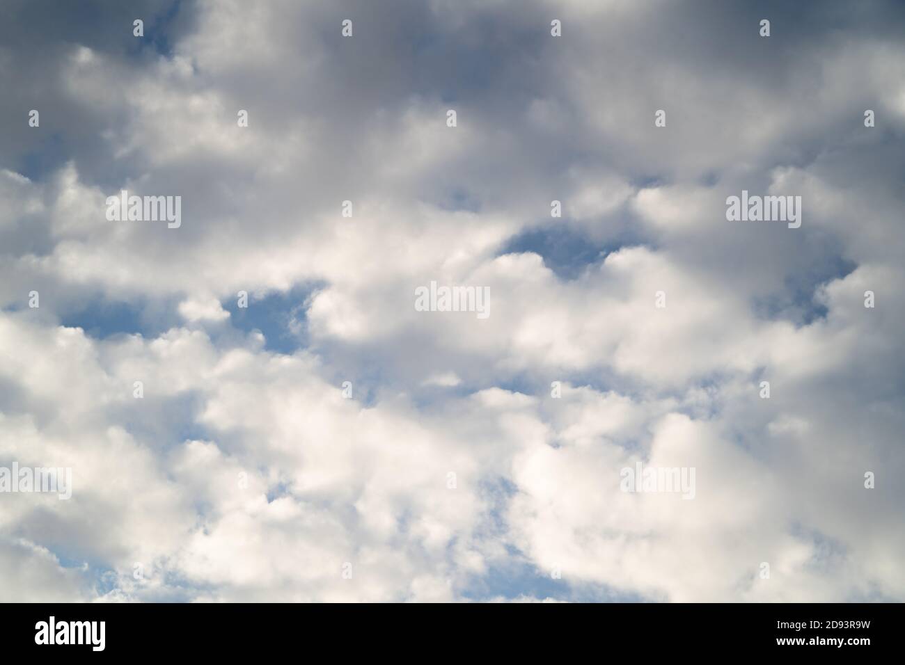 Hochauflösendes Sky-Hintergrundbild für den Einsatz als Sky Replacement. Querformat. Weiße Stratocumulus Wolken auf einem blauen Himmel Stockfoto