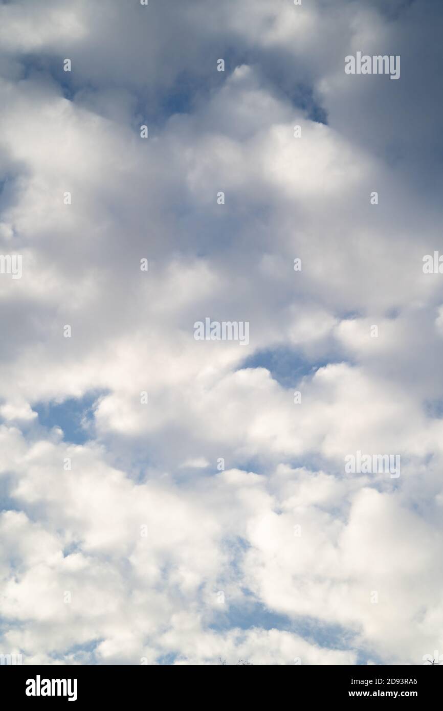 Hochauflösendes Sky-Hintergrundbild für den Einsatz als Sky Replacement. Hochformat. Weiße Stratocumulus Wolken auf einem blauen Himmel Stockfoto