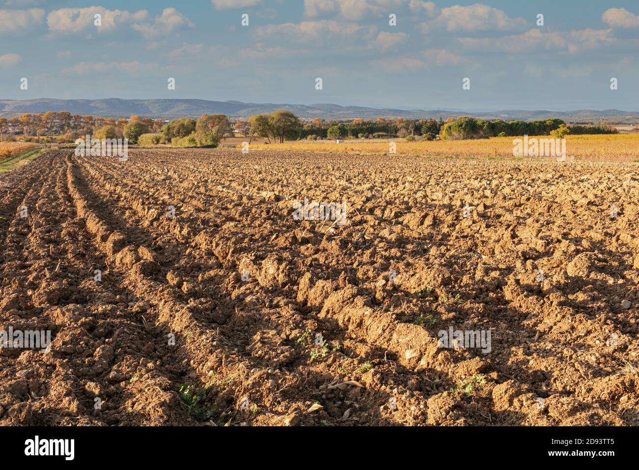 Felder mit dem Boden im Herbst umgedreht Stockfoto