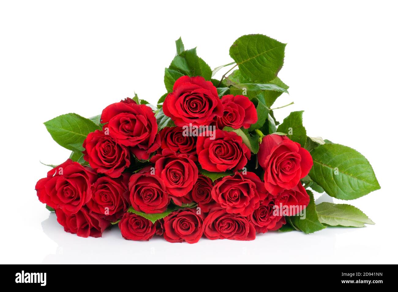 Rote Rose Stockfoto