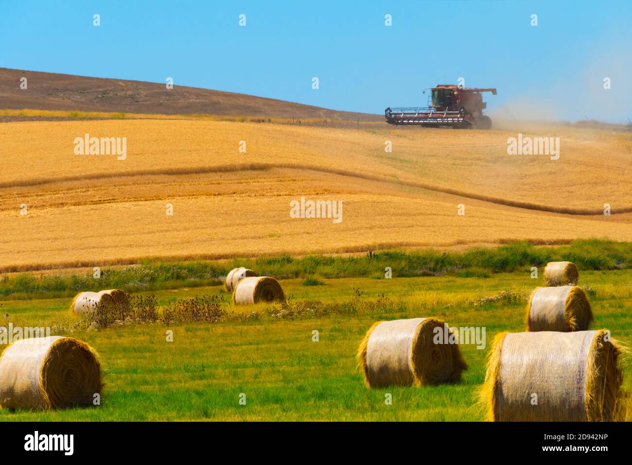 Haystacks auf Weizenfeld, Palouse, Washington State, USA Stockfoto