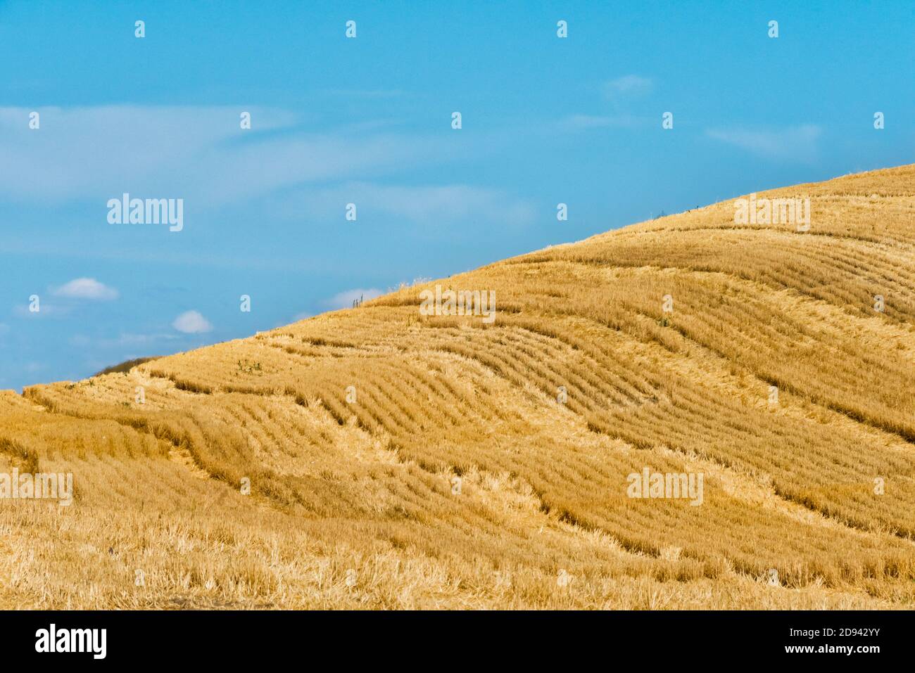 Spuren auf geerntetem Weizenfeld, Palouse, Washington State, USA Stockfoto