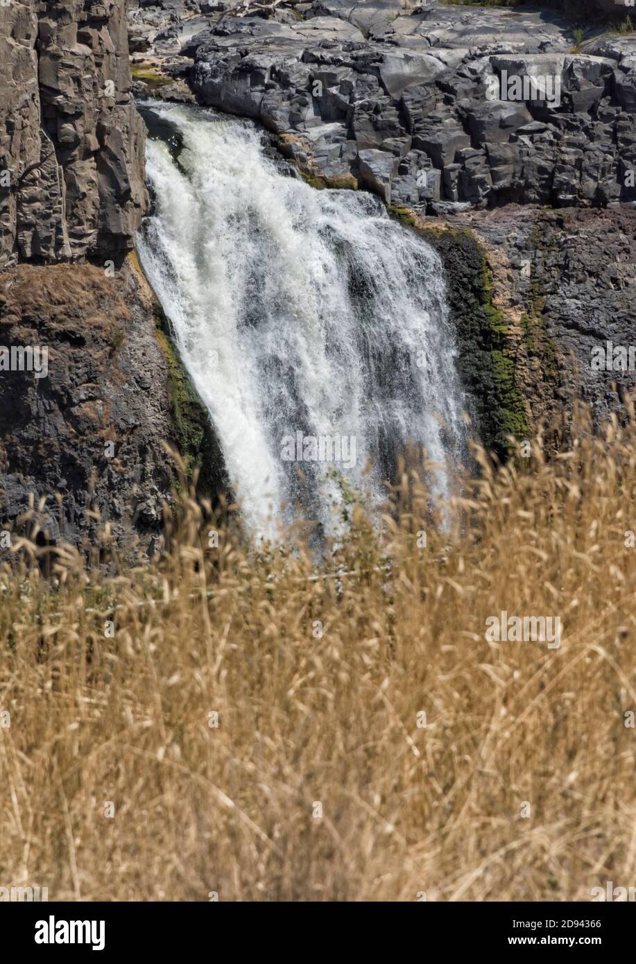 Palouse Falls mit Weizenfeld, Palouse, Washington State, USA Stockfoto