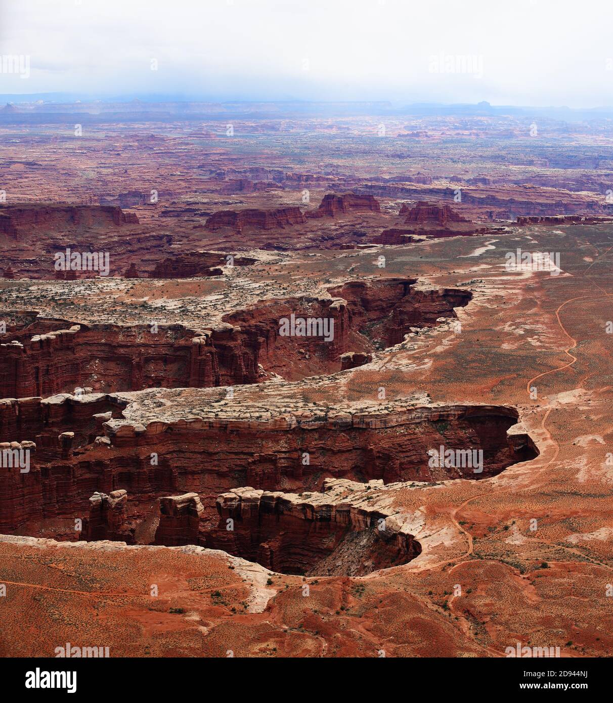 Panoramablick vom Grand View Point im Canyonlands National Park, Utah, USA Stockfoto