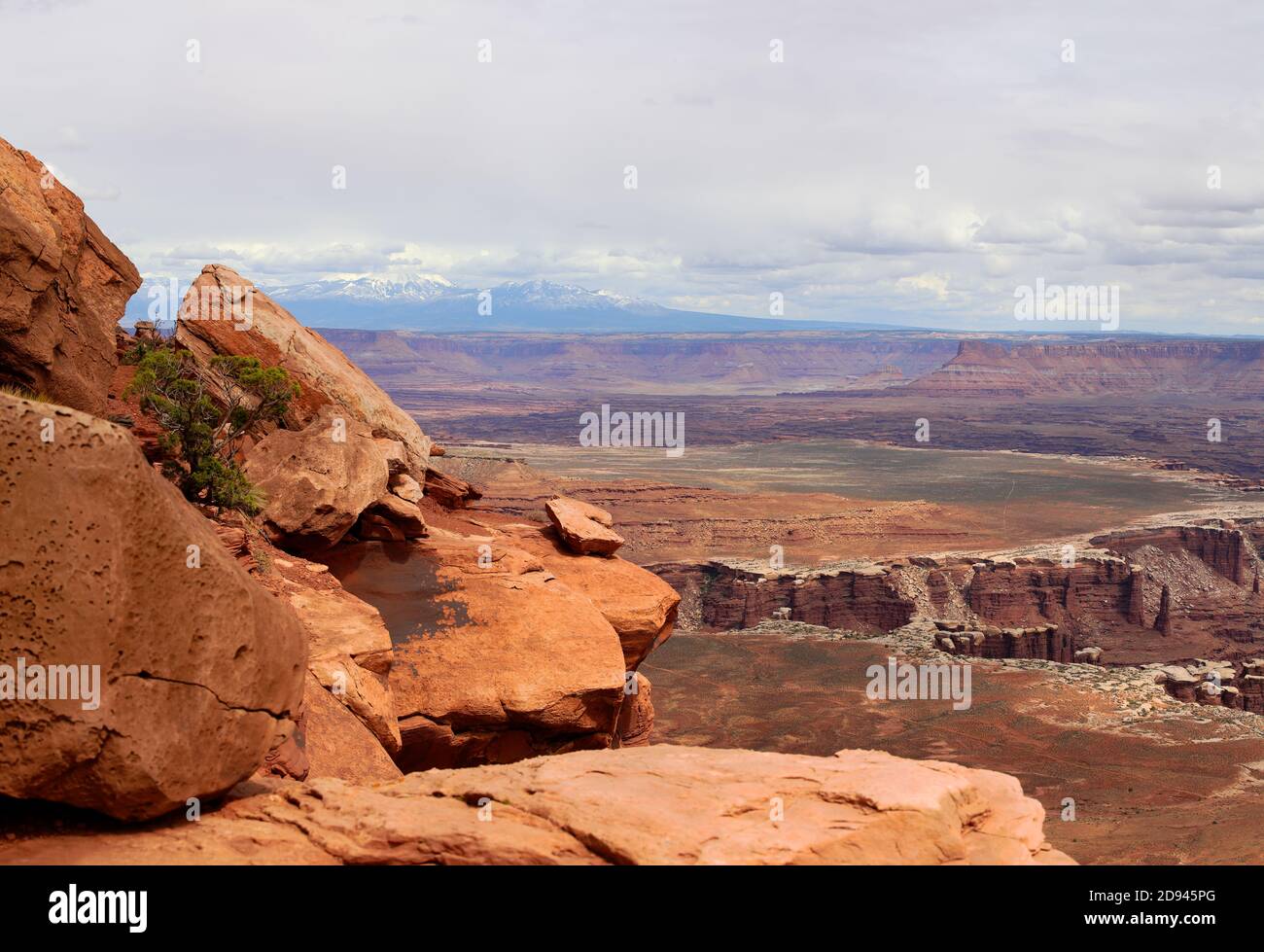 Landschaftliches Panorama des Aussichtspunktes im Canyonlands National Park, Utah, USA Stockfoto