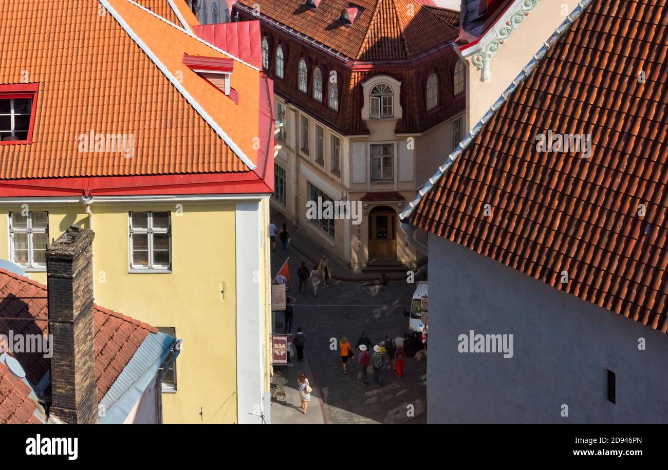 Rote Dächer von historischen Gebäuden in der Altstadt, Tallinn, Estland Stockfoto