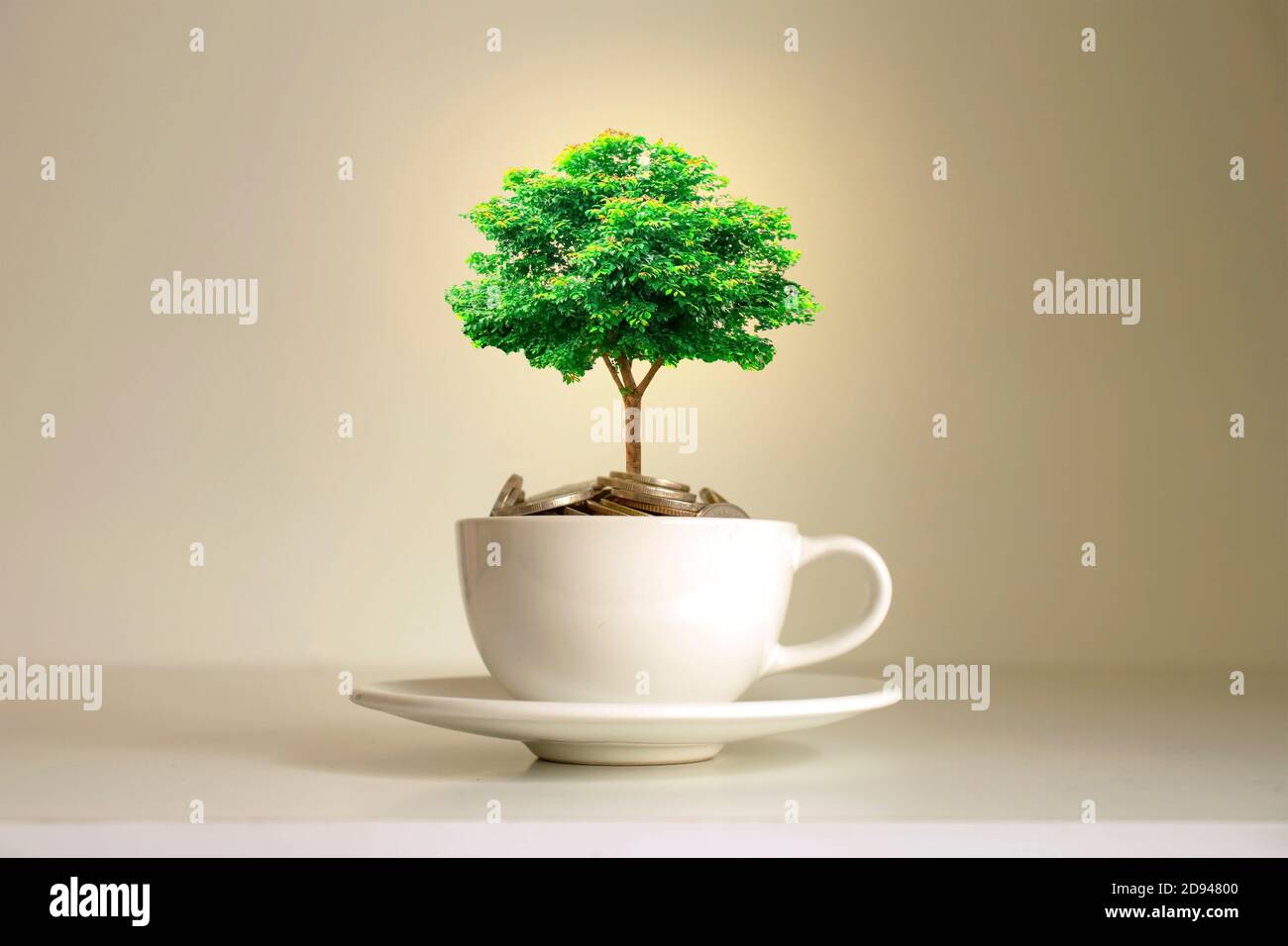 Ein Baum wächst auf einem Stapel von Münzen in einer weißen Kaffeetasse finanzielle Wachstum Idee weißen Kaffeetasse. Stockfoto
