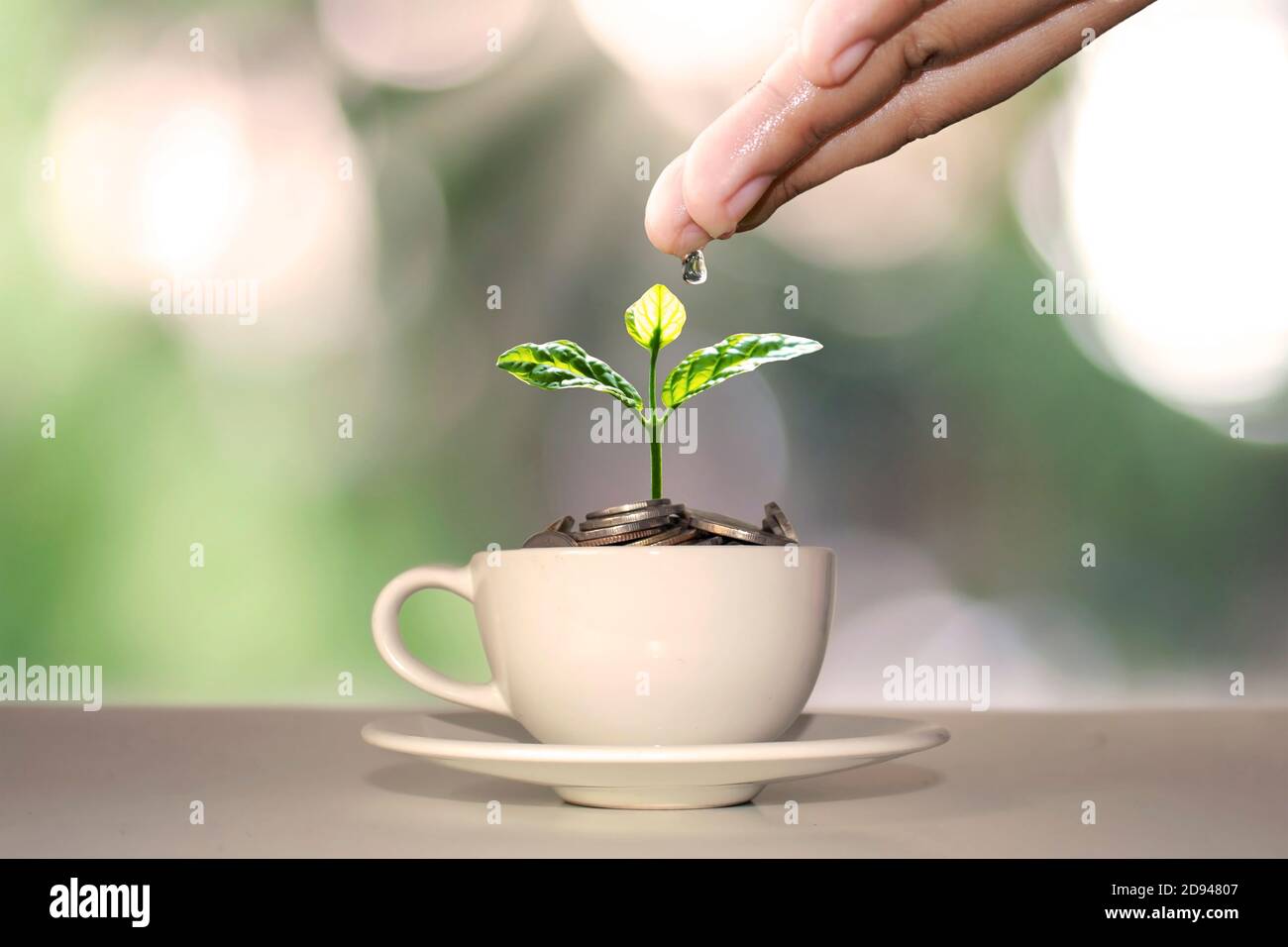 Ein Baum, der auf einem Geldhaufen in einer weißen Kaffeetasse wächst, einschließlich einer Hand, die die Pflanzen bewässerte, Ideen für finanzielles Wachstum und Geldeinsparung. Stockfoto
