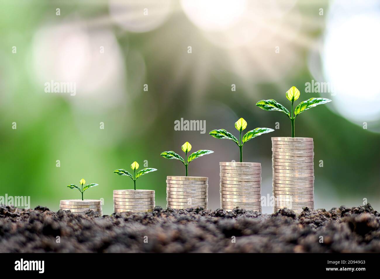 Pflanzen auf Münzen auf grünen verschwommenen Hintergründen und natürlichem Licht mit finanziellen Ideen gestapelt. Stockfoto