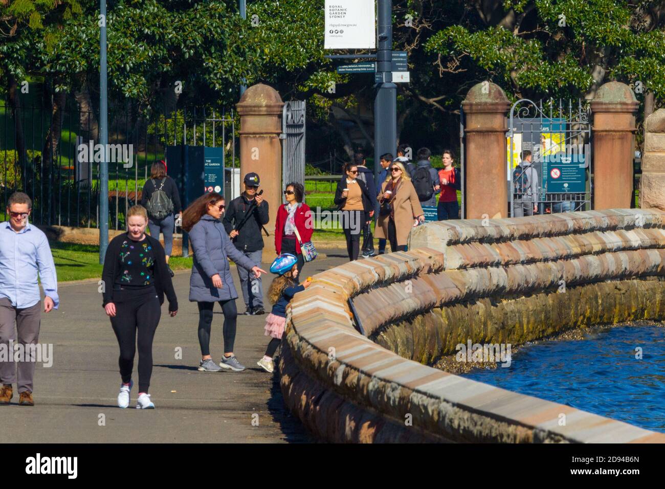 Der Spaziergang an der Meereswand am Mrs Macquarie's Point at Farm Cove und die Royal Botanic Gardens am Sydney Harbour in Sydney, Australien. Stockfoto