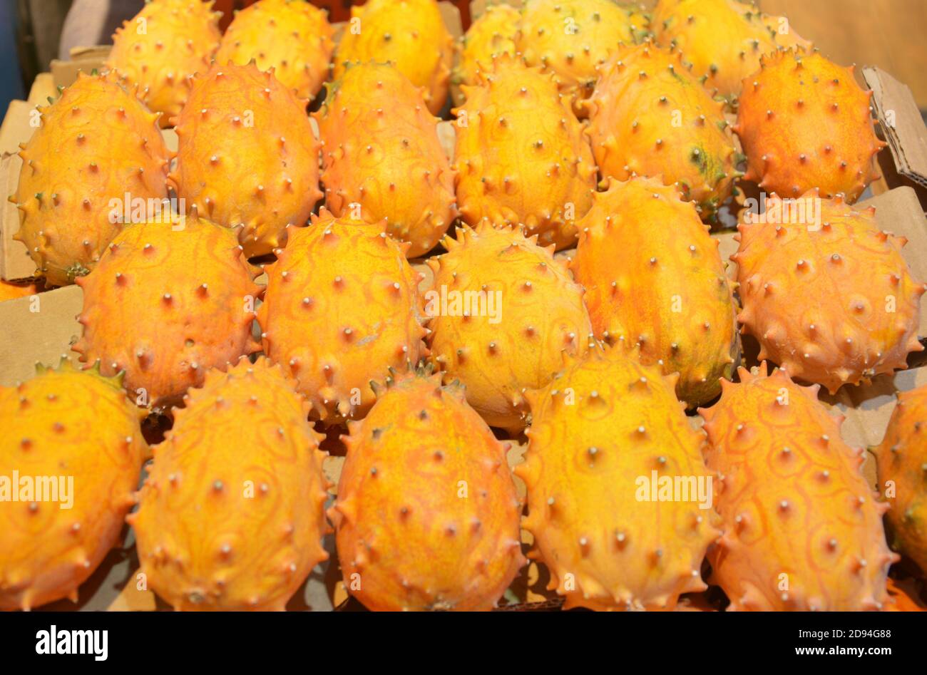 Frische cucumis metuliferus auf dem Stand zum Verkauf unter Bright Leicht Stockfoto