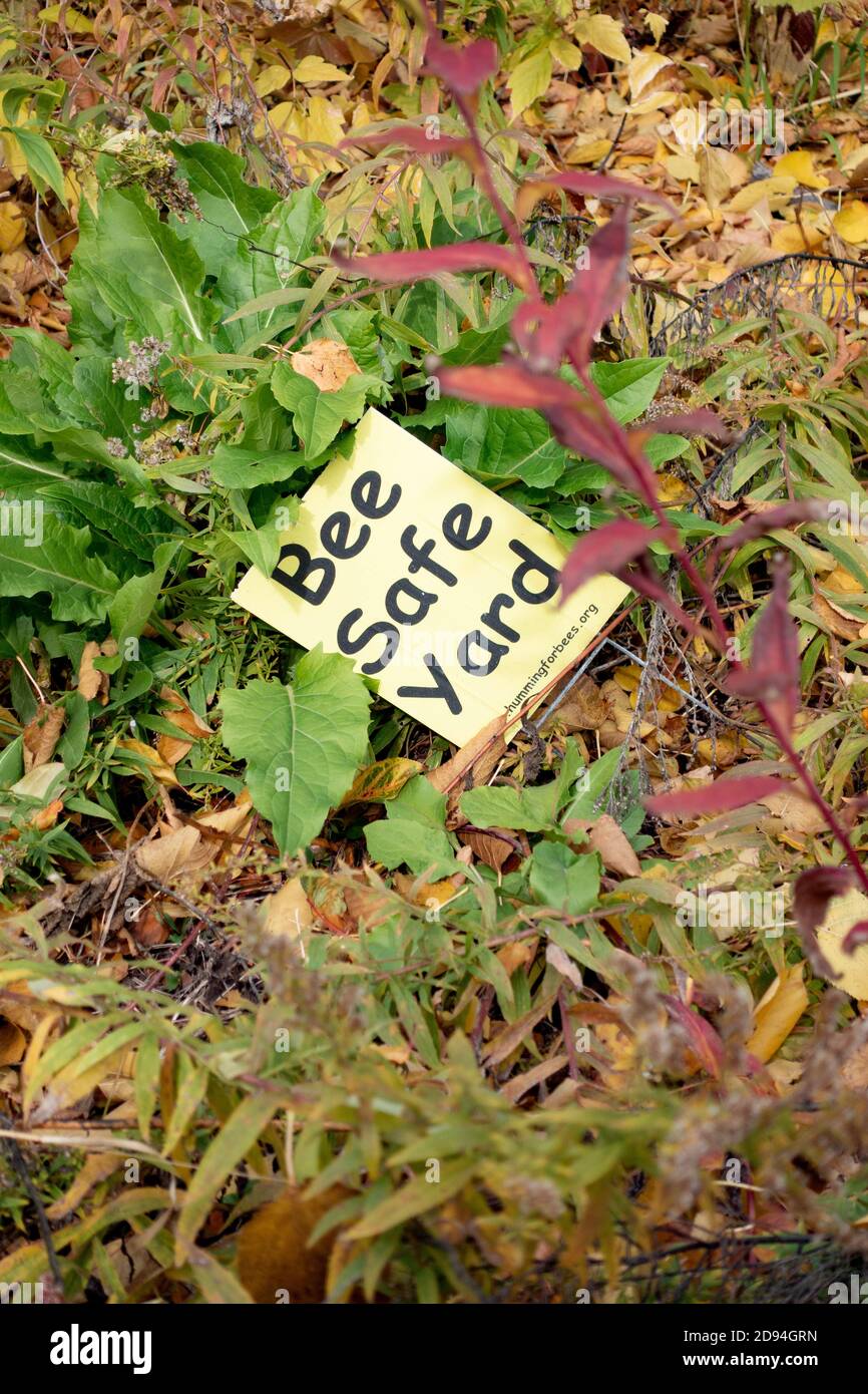 Ein Schild, das den Garten und die Pflanzungen anzeigt, sind für Bienen sicher. Minneapolis Minnesota, USA Stockfoto