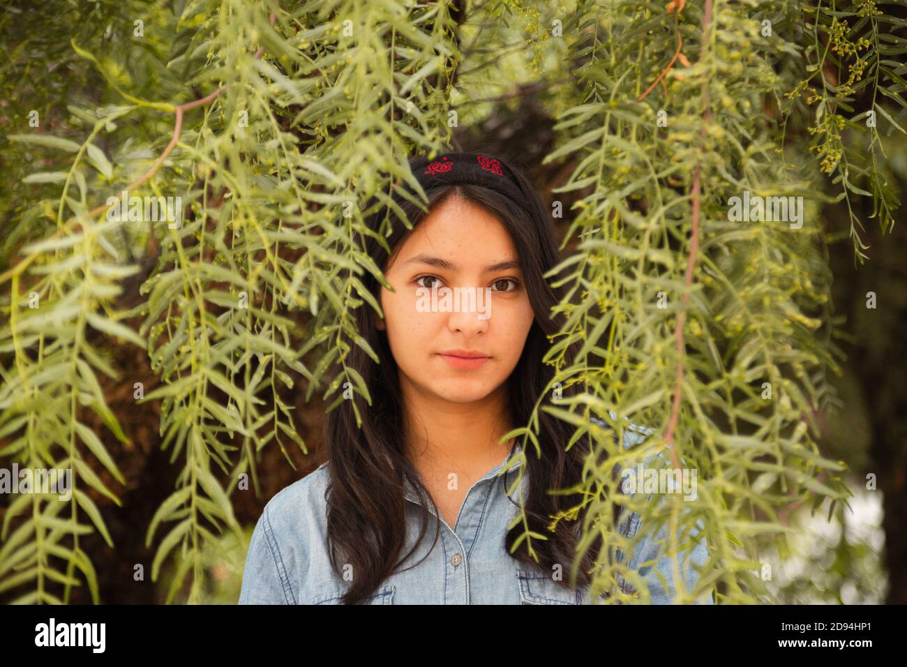 Seriöse lateinische Frau in der Natur Stockfoto