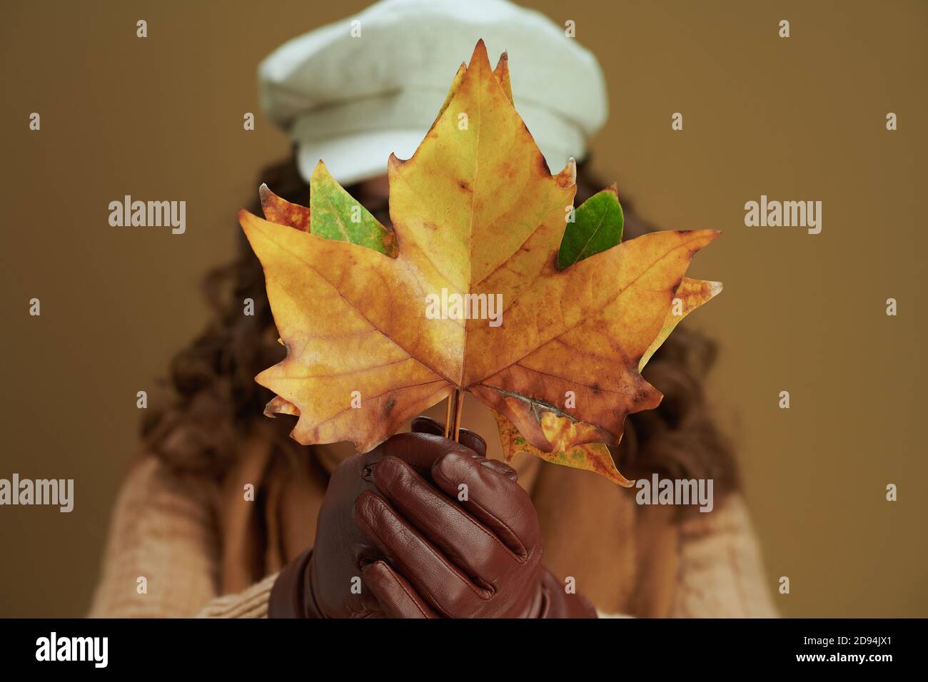 Hallo september. Nahaufnahme der Frau mit Lederhandschuhen und gelben Herbstahornblättern auf beigem Hintergrund. Stockfoto