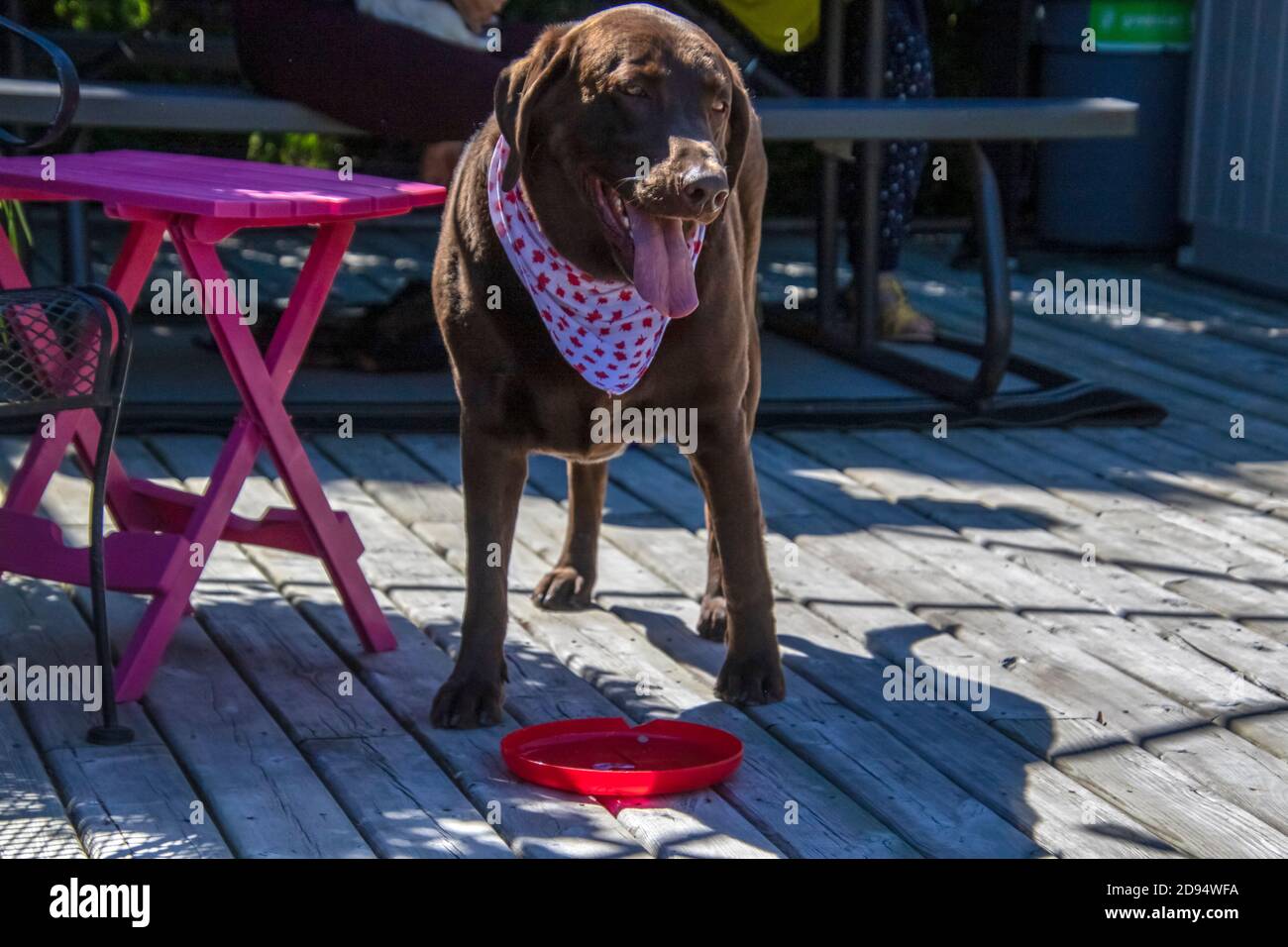 Auf Einem Deck Stehen Stockfotos Und Bilder Kaufen Alamy