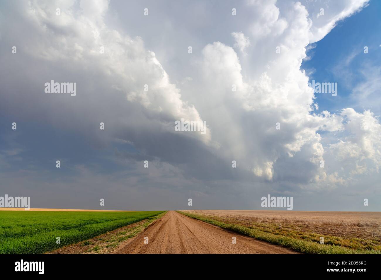 Malerische Landschaft mit Cumulonimbus-Wolken über einer unbefestigten Straße und einem Feld in der Nähe von Goodland, Kansas Stockfoto