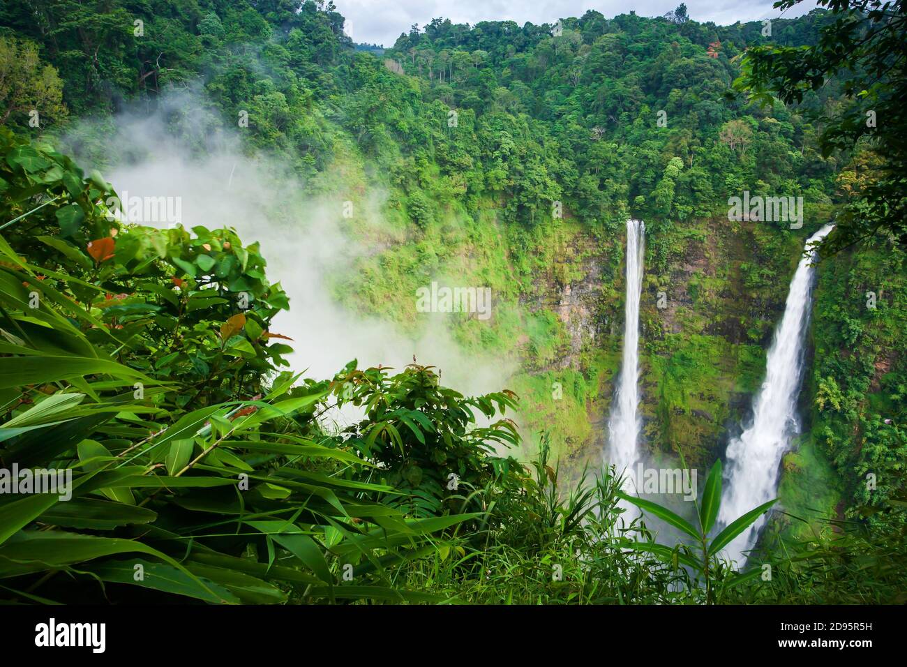 Landschaft TAD Fane Wasserfälle im Morgennebel, magische Zwillingswasserfall in der Regenzeit, touristische Attraktionen in Süd-Laos. Stockfoto