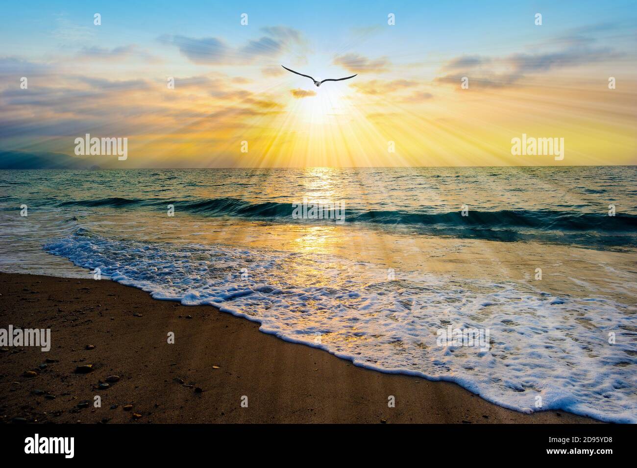 Eine Vogel Silhouette fliegt dem Licht als Sonne entgegen Strahlen gehen aus dem Ocean Sunset Sky Stockfoto