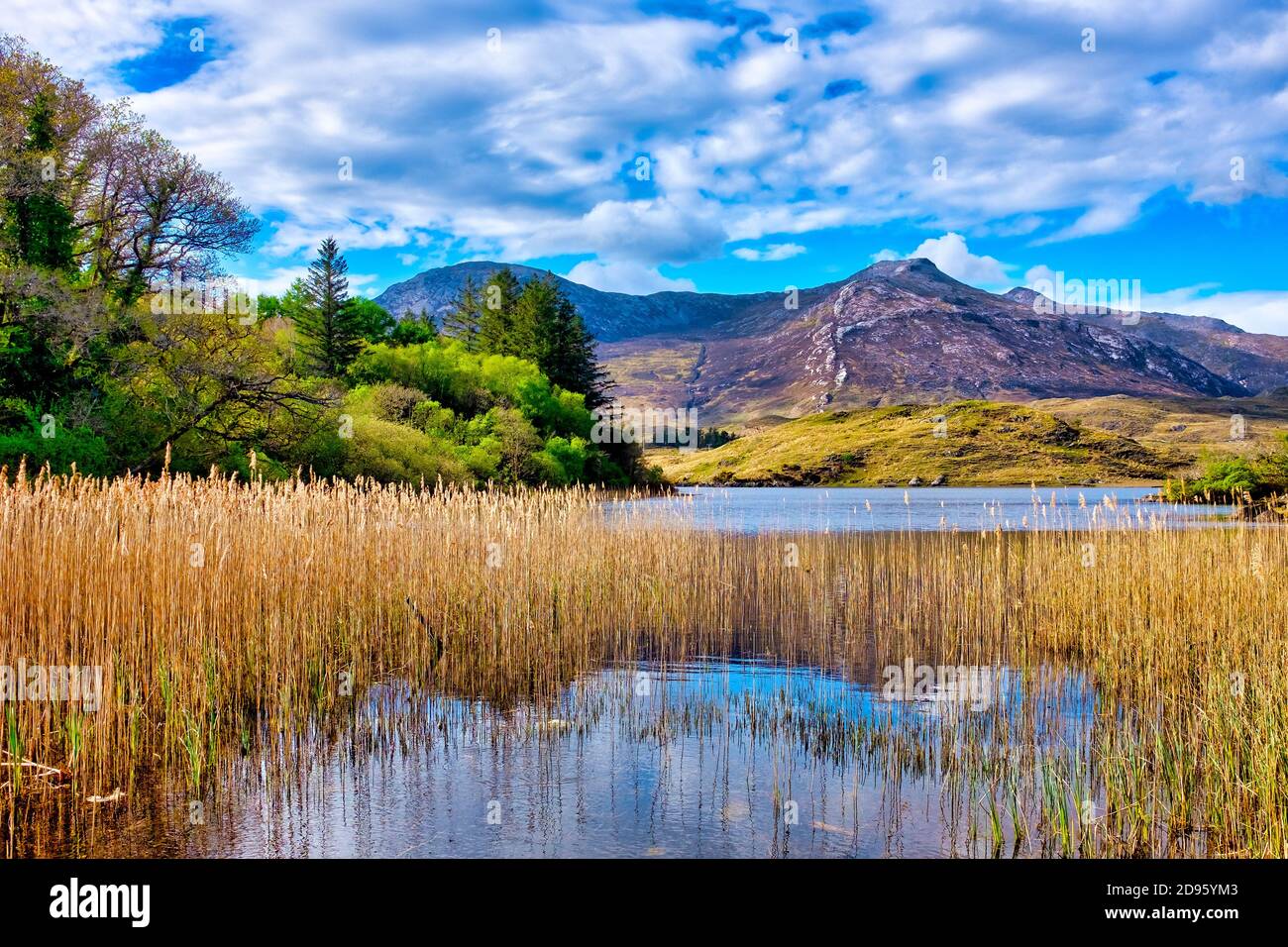 Ein Blick auf Derryclare Lough, Connemara, Irland Stockfoto