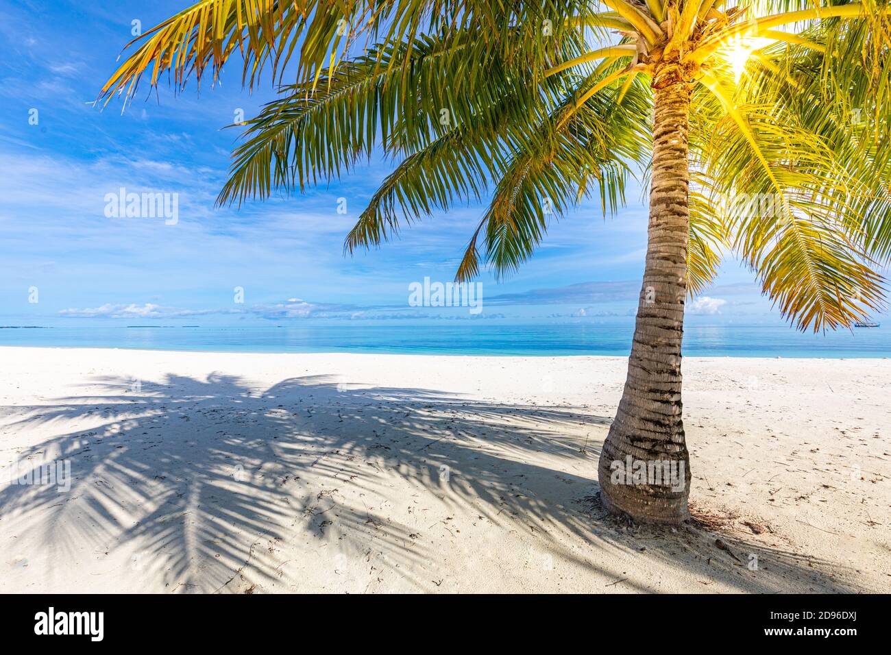 Ruhige Sommerferien oder Urlaubslandschaft. Blick auf den tropischen Strand mit Palmenblättern über dem ruhigen Meerwasser. Exotische Natur Blick, inspirieren Hintergrund Stockfoto