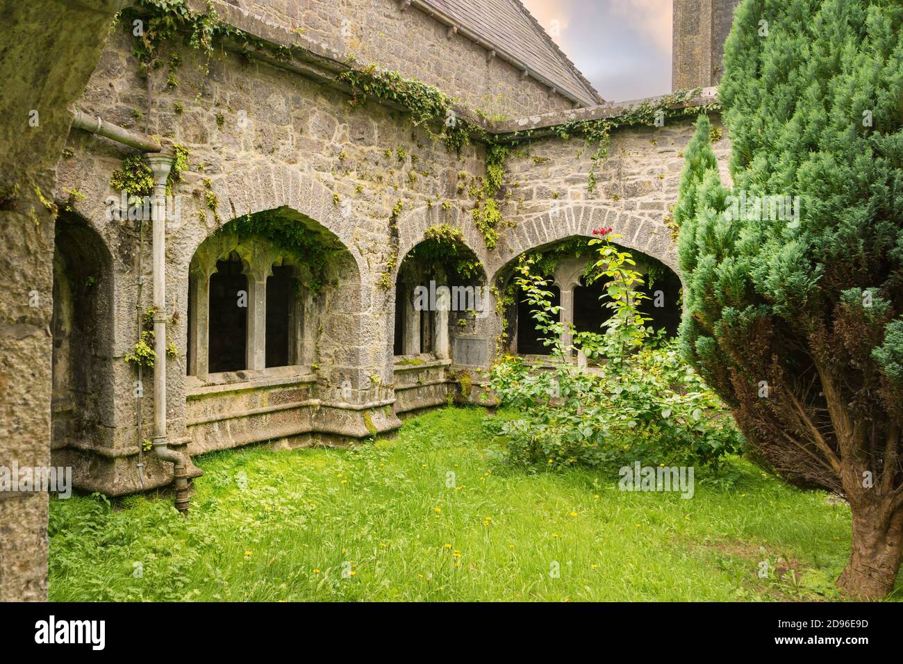 Blick auf den Kreuzgang der Augustinerabtei in der Nähe des Dorfes Adare in Irland. Stockfoto Blick auf den Kreuzgang der Augustinerabtei in der Nähe des Dorfes Adare in Irland. Stockfoto