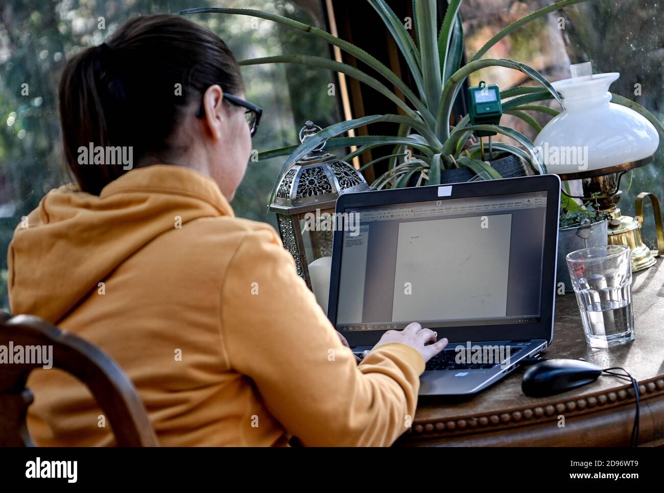 Berlin, Deutschland. Oktober 2020. Eine junge Frau arbeitet im Heimbüro in einem Wintergarten. Quelle: Britta Pedersen/dpa-Zentralbild/dpa/Alamy Live News Stockfoto