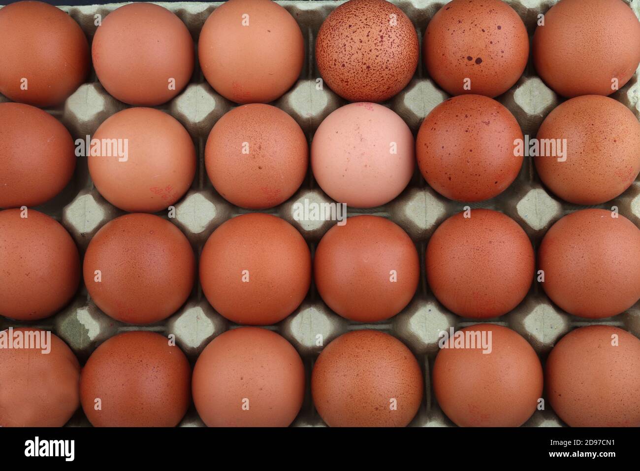 Gruppe von Eiern bereit zu kochen Stockfoto