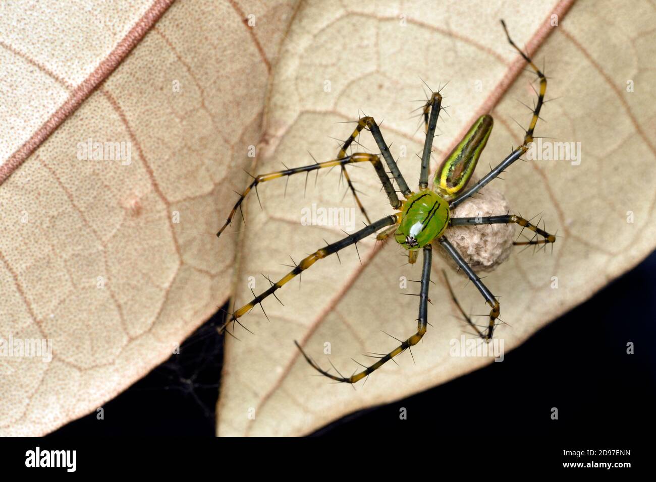 RARE !! JOLIE SPHENE JAUNE VERTE DE MADAGASCAR : 7 mm x 5 mm ★★ p312