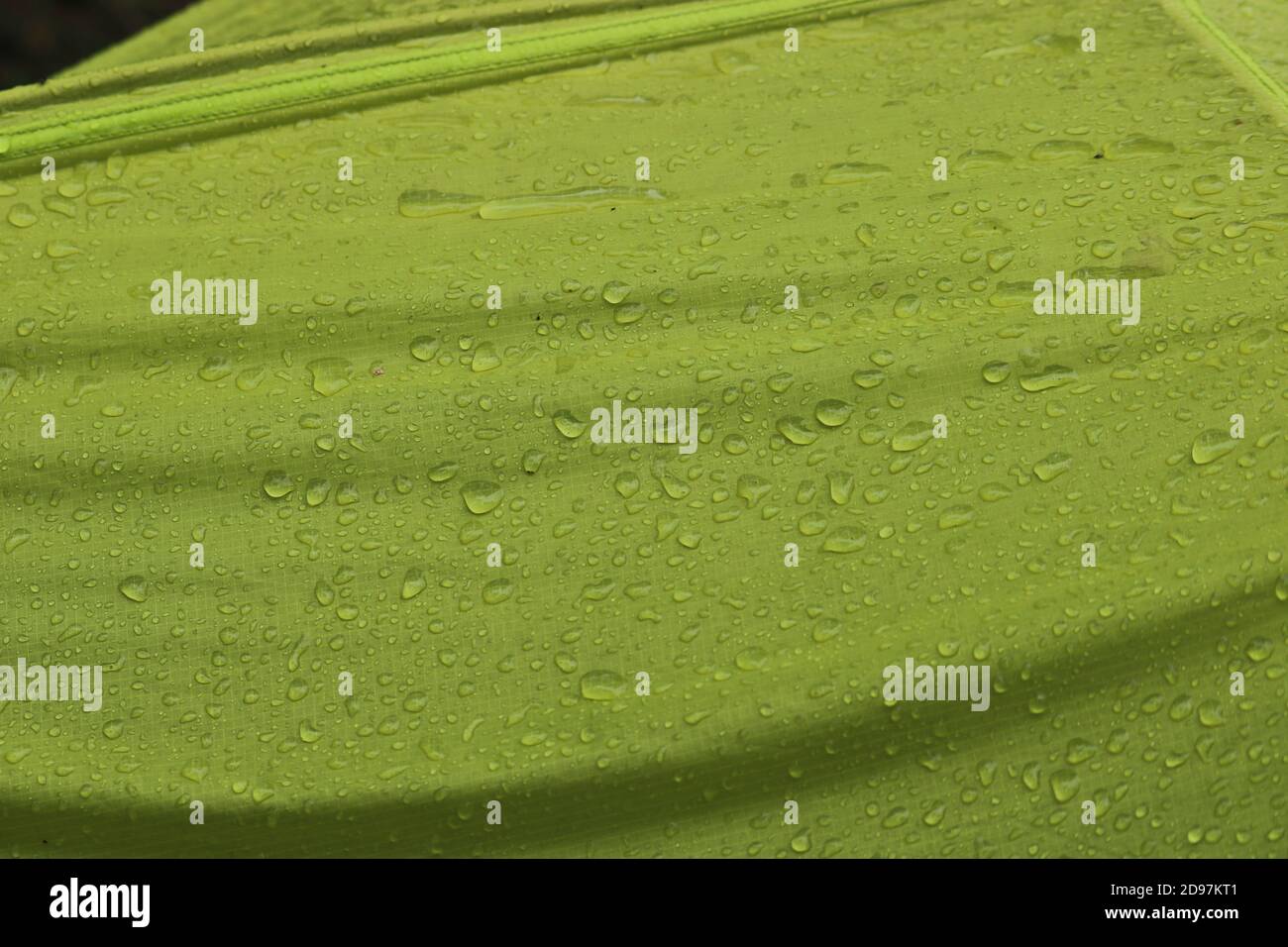 Wasserabweisendes Material in großen Regentropfen. Grüne RIP-Stop-Qualität. Zelttextilien. Wasserdichtes Material. Stockfoto
