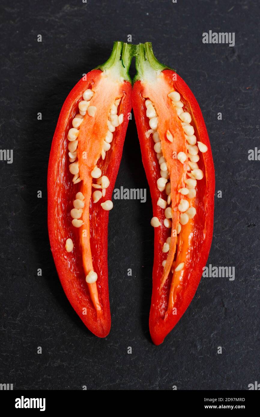 Homegrown jalapeno Chilischoten aufgeschnitten, um Samen zu offenbaren. VEREINIGTES KÖNIGREICH Stockfoto