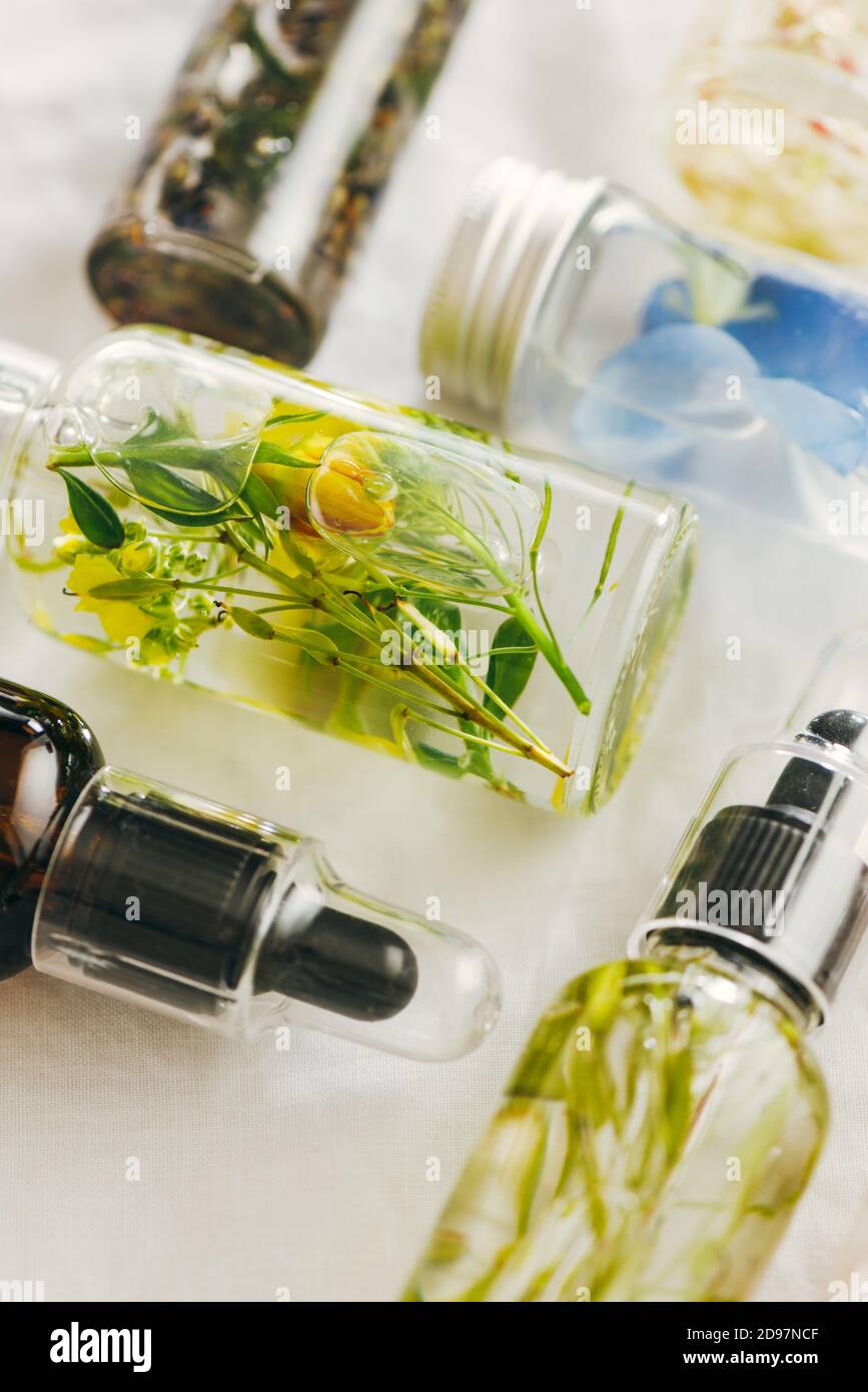 Transparente Flaschen des wesentlichen Öls mit frischen Kräutern und Blumen, natürliche Behandlung für Massage, Aromatherapie oder spa-Konzept. Natürliche Medikamente. Von Stockfoto