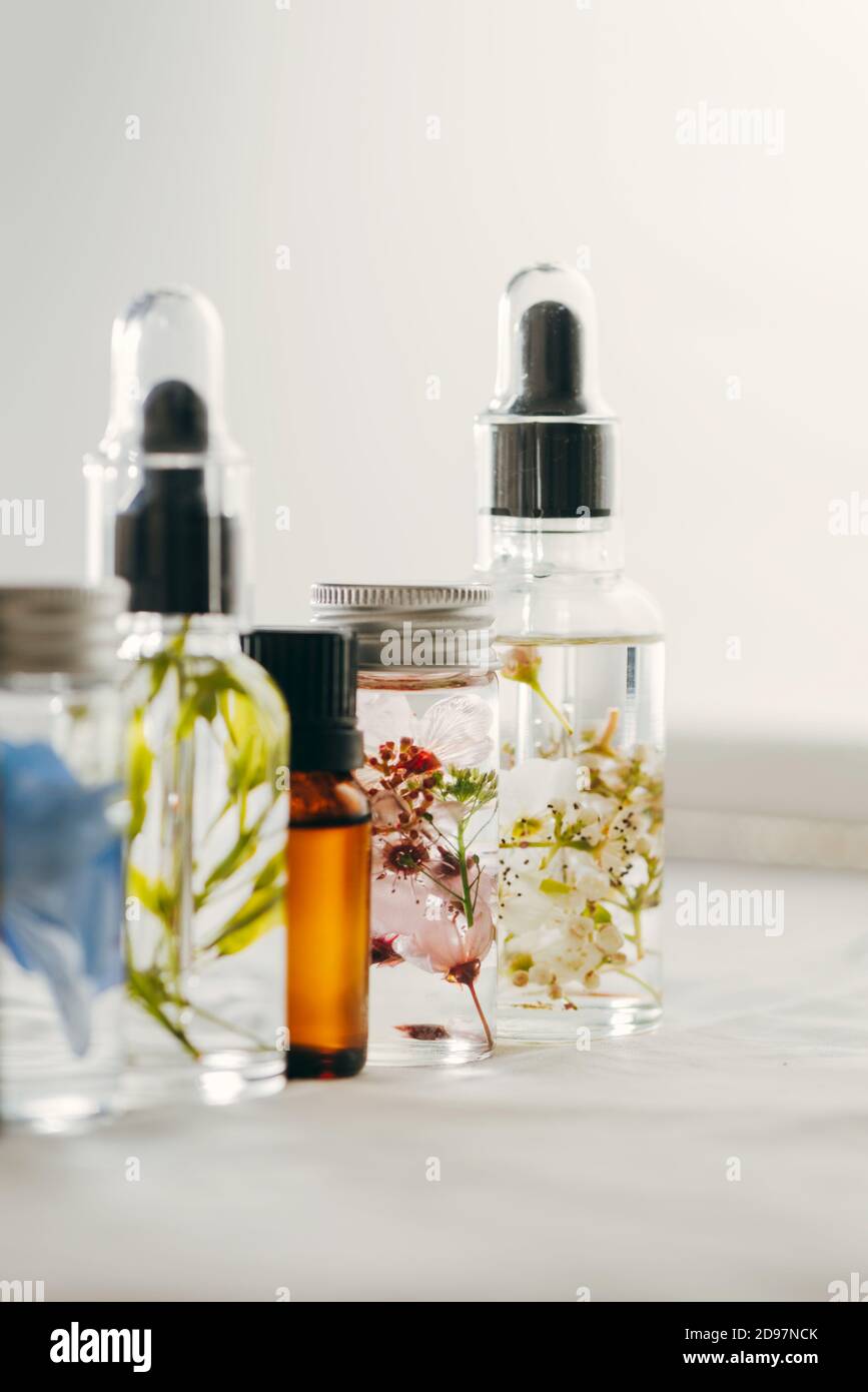 Transparente Flaschen des wesentlichen Öls mit frischen Kräutern und Blumen, natürliche Behandlung für Massage, Aromatherapie oder Spa. Natürliche Medikamente Stockfoto