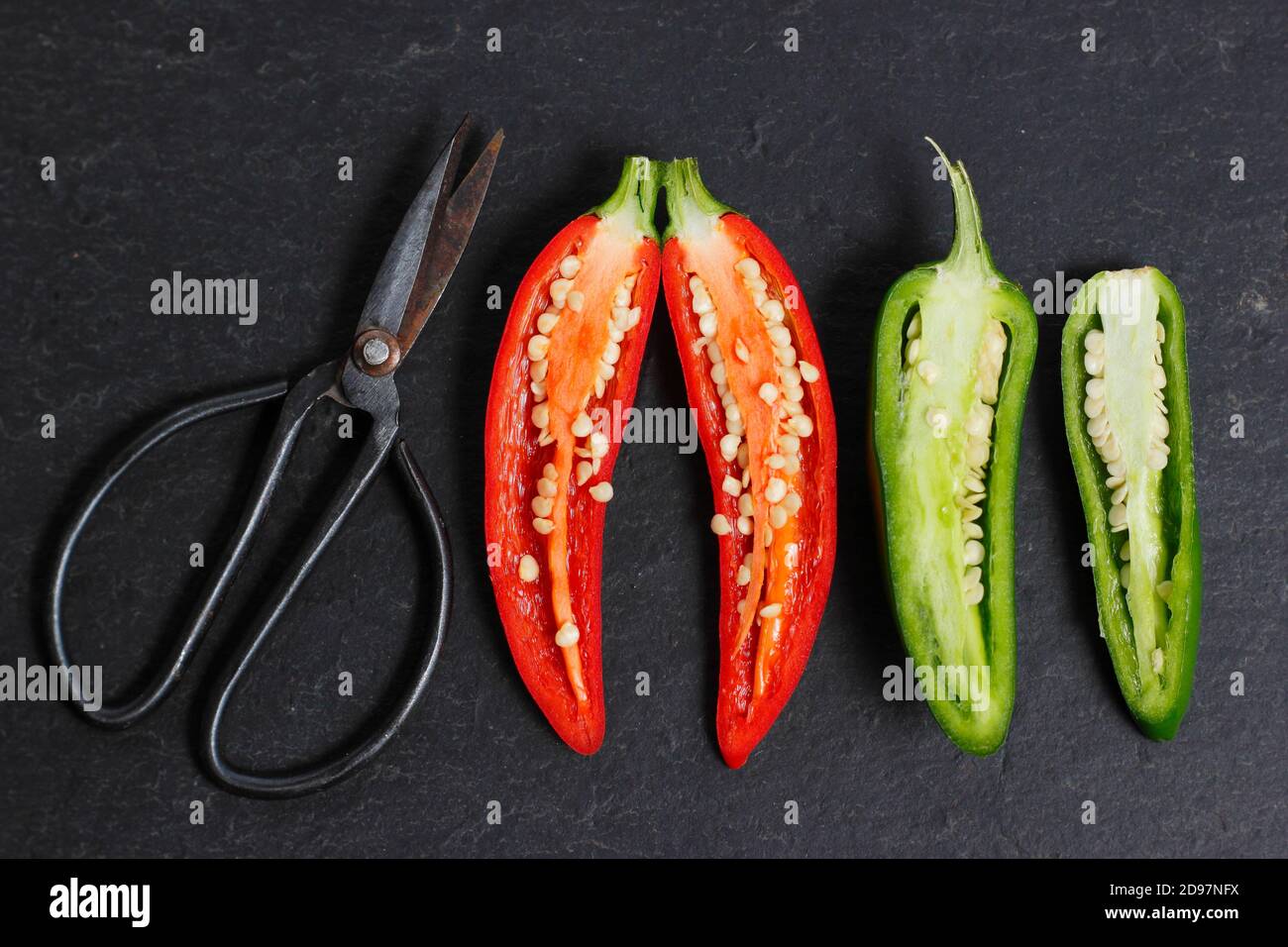 Homegrown jalapeno Chilischoten aufgeschnitten, um Samen zu offenbaren. VEREINIGTES KÖNIGREICH Stockfoto