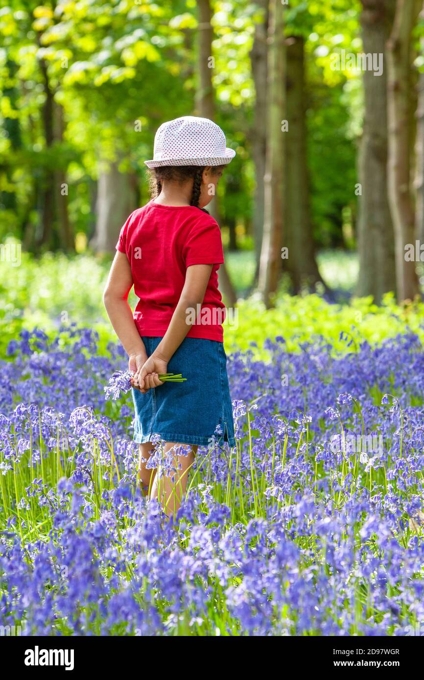 Gemischte Rasse afroamerikanische Mädchen Kind zu Fuß in bluebell Holz Oder im Frühling Blumen pflücken Stockfoto