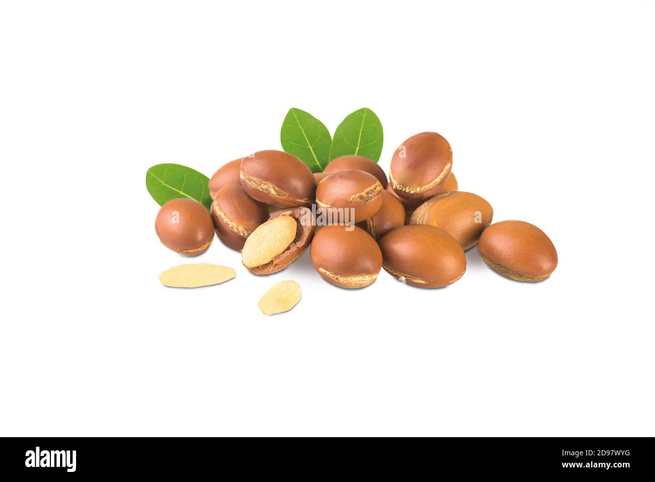 Arganfrucht mit frischem Laube Stockfoto