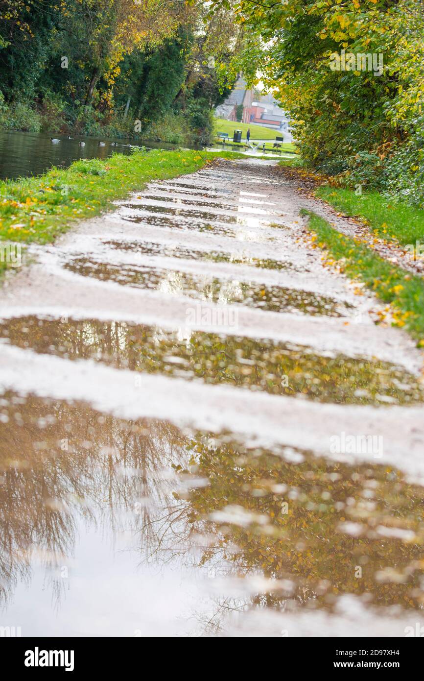Reflexionen von Herbstbäumen in Regenwasserpfützen auf dem Abschleppweg des britischen Kanals an einem sehr nassen Herbstmorgen nach starkem Regen. Stockfoto