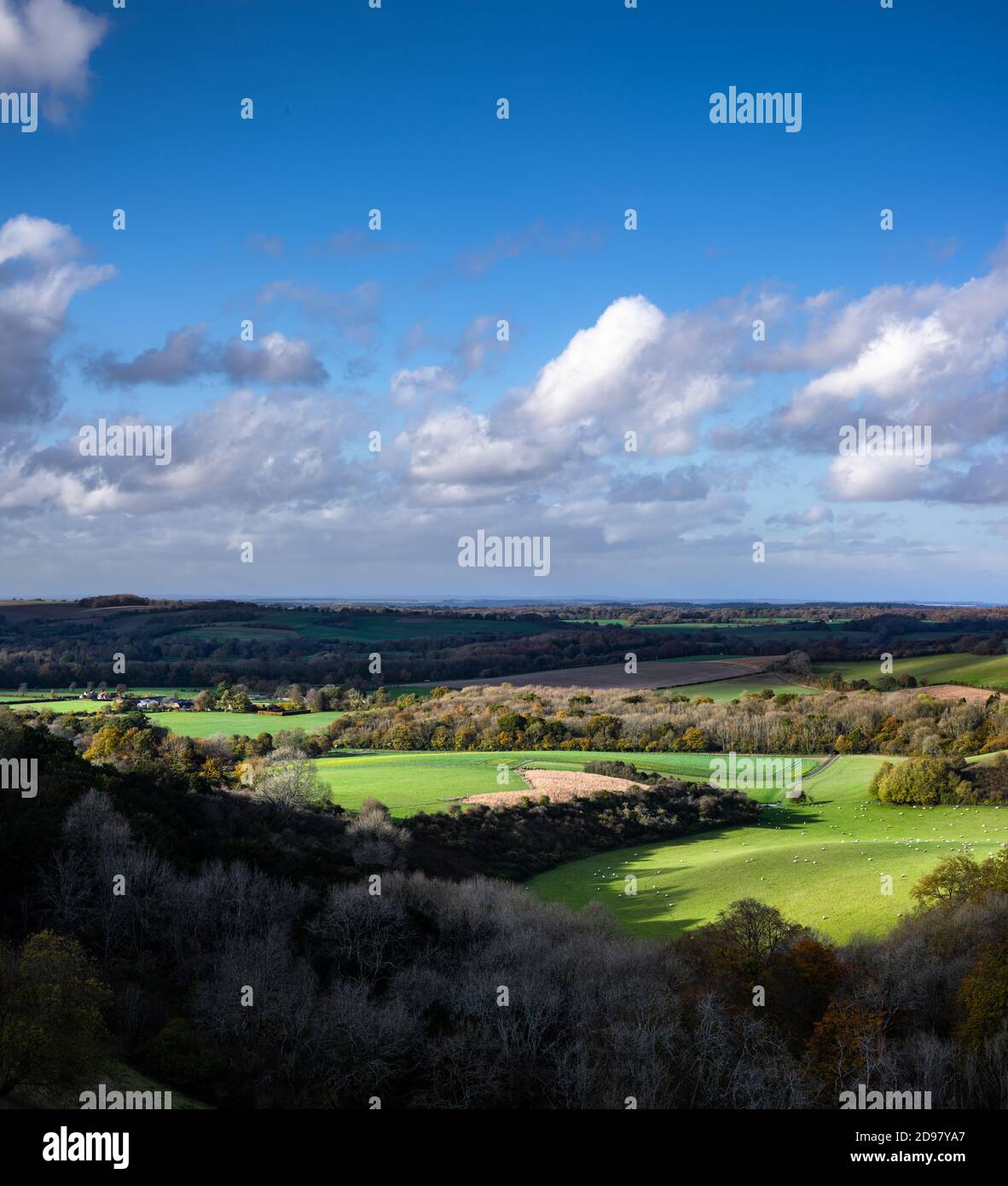 Dramatische Herbstsonnen fallen über die hügelige Landschaft von Hampshire, typisch für den South Downs Nationalpark in England. Hochauflösendes Bild st Stockfoto