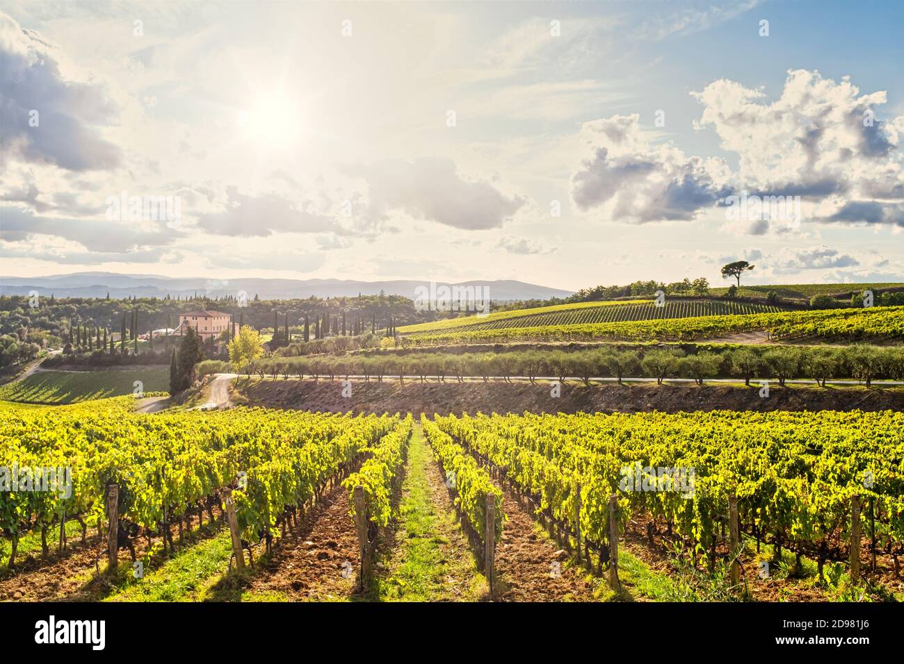 Toskanische Weinberge Plantagen Reihen und landschaftlich reizvolle Sommerlandschaft und Wolkenlandschaft. Stockfoto