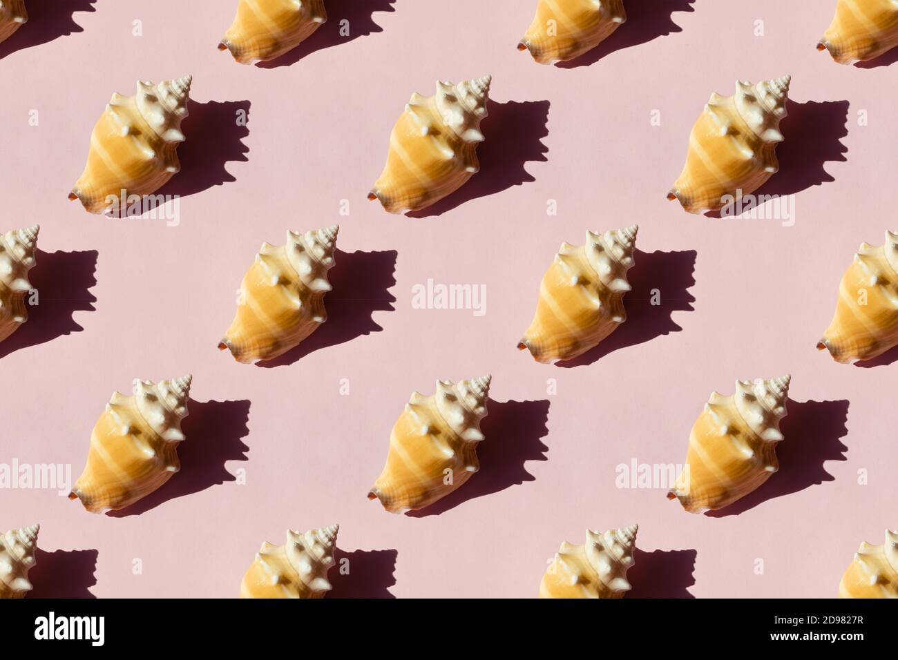 Muscheln auf rosa Hintergrund, Nahtloses Muster Stockfoto