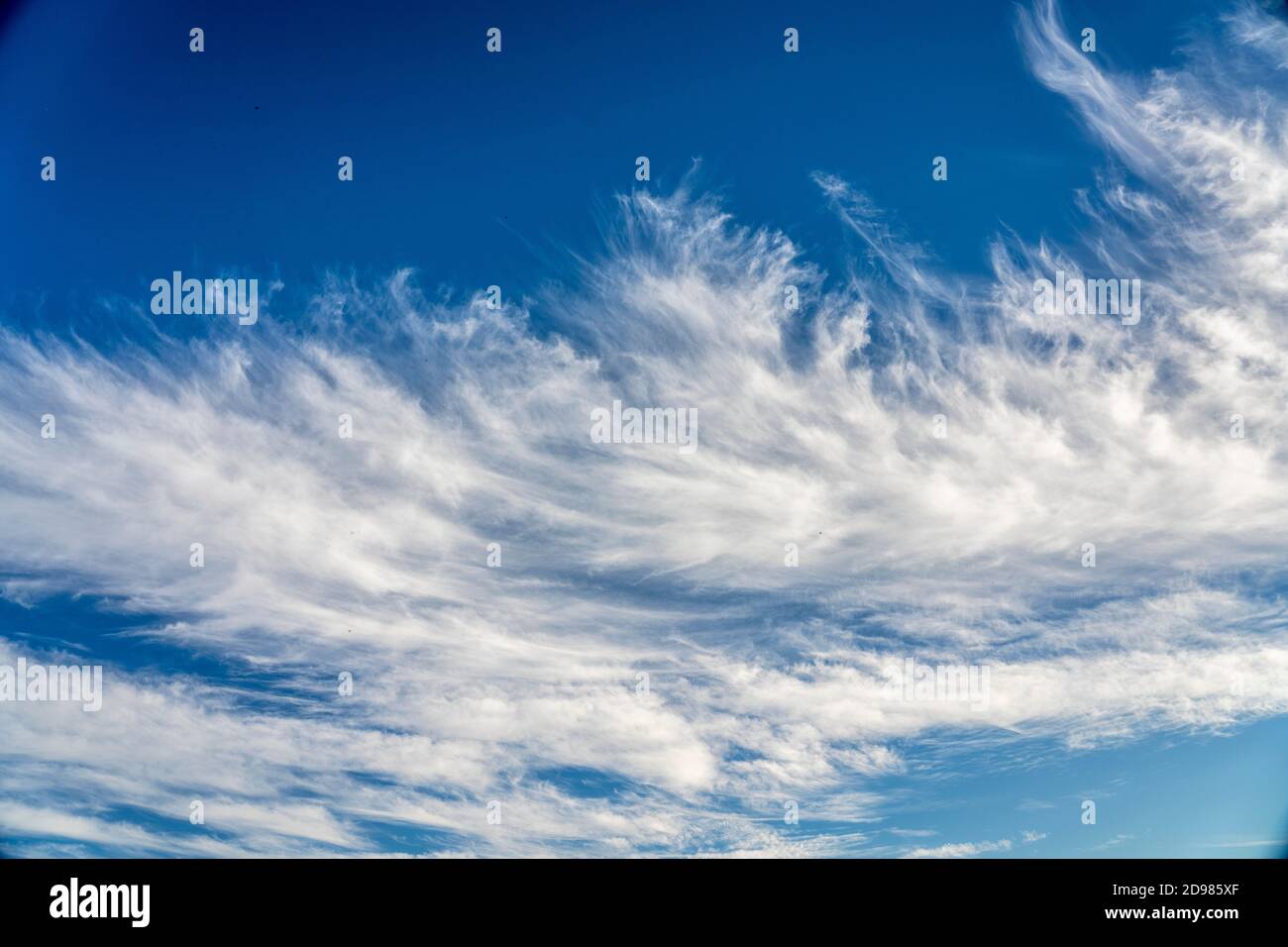 Ausgefranste Zirruswolken am tiefblauen Himmel Stockfoto