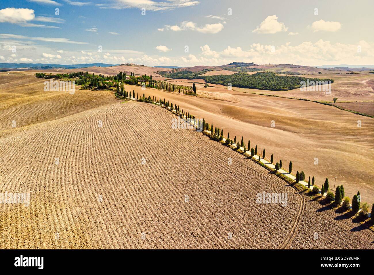 Luftaufnahme der goldenen Felder der Toskana in Siena Provinz Italien mit Zypressenstraße. Stockfoto