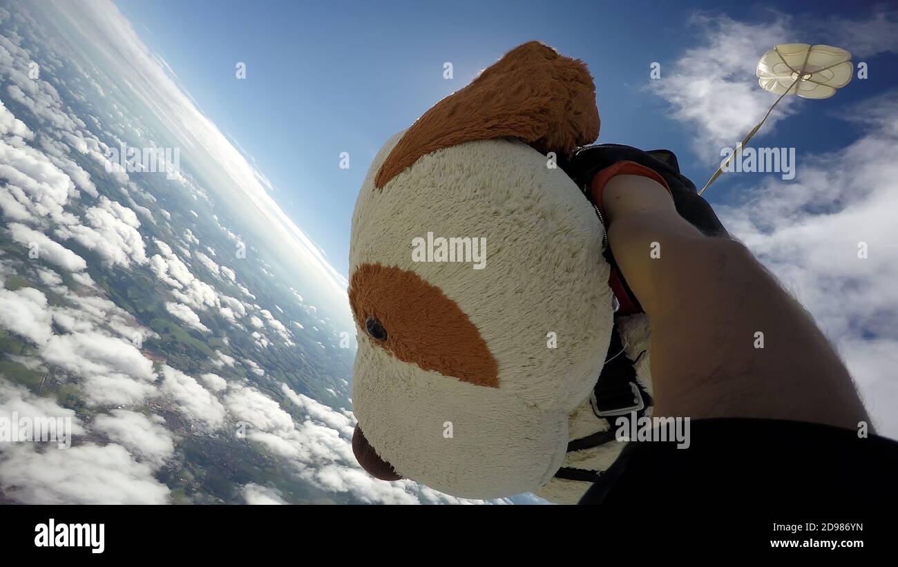 Skydiving Teddy Bear Extremsport Stockfoto