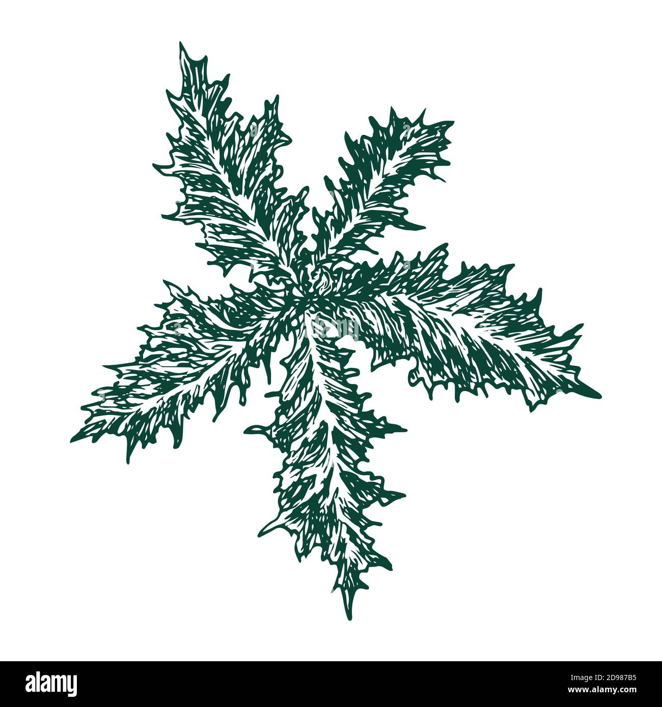 Silybum marianum (cardus marianus, Mariendistel, gesegnete Milchdistel, Mariendistel, Mariendistel oder Scotch Distel), handgezeichneter Doodle, Skizze Stockfoto