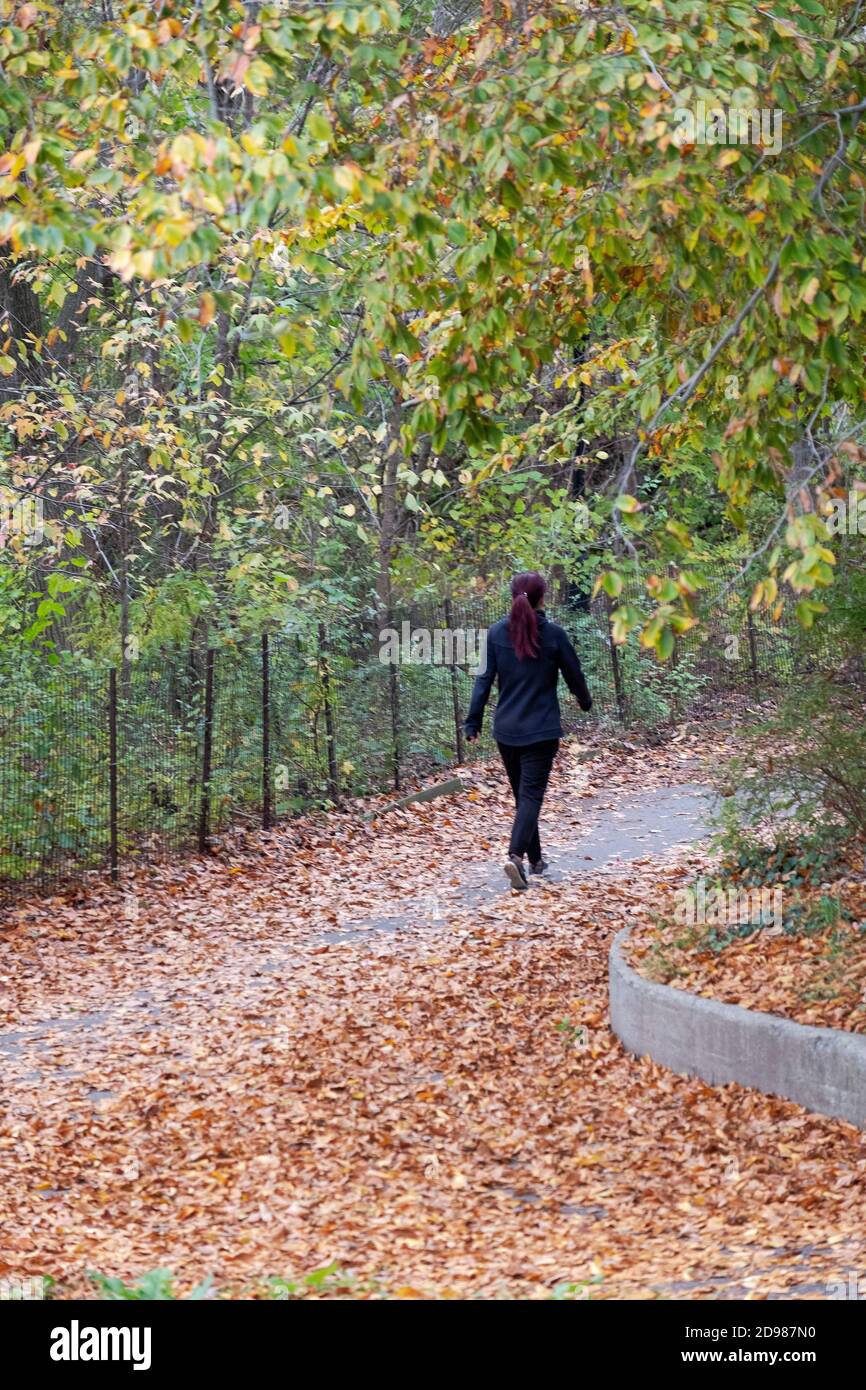 Eine Frau auf einem Übungsspaziergang zwischen den Herbstfarben. In Kissena Park, Flushing, New York City. Stockfoto