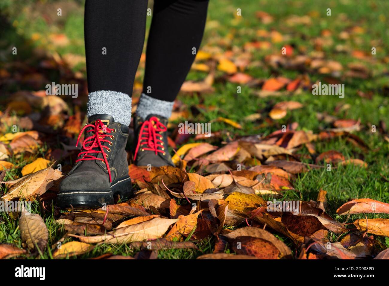 Frau in Wanderschuhen durch Herbstblätter Stockfoto