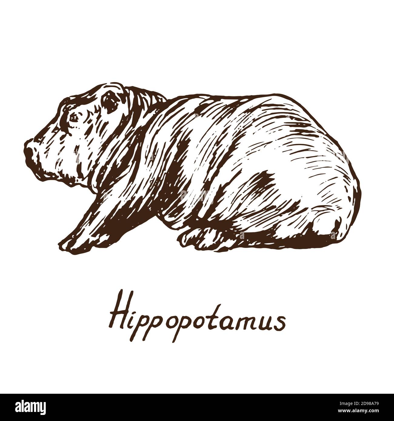 Hippopotamus neugeboren, skizzieren einfache Doodle Zeichnung mit Inschrift, Tiefdruck-Stil Stockfoto