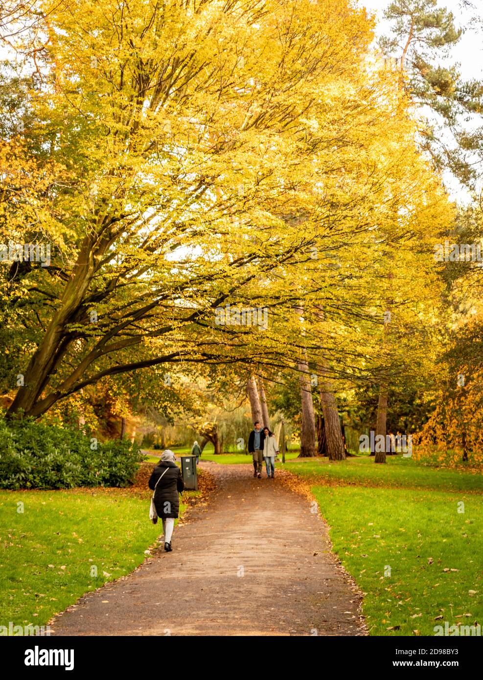 Bournemouth, Großbritannien. Dienstag, 3. November 2020. Menschen, die in einem öffentlichen Park mit viel Herbstfarbe in Bournemouth Gardens spazieren gehen. Kredit: Thomas Faull/Alamy Live Nachrichten Stockfoto