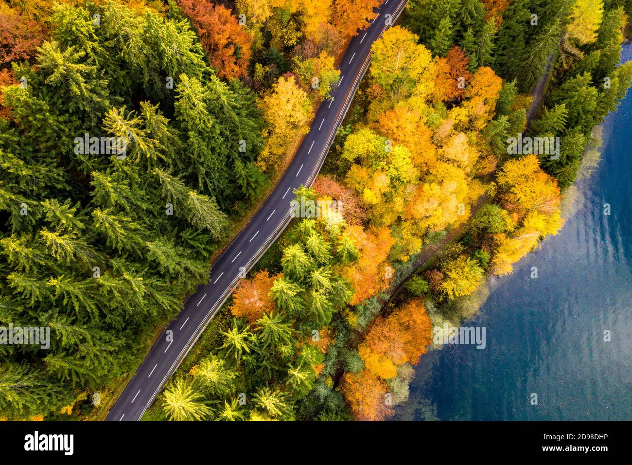 Luftaufnahme von dichtem Wald und See im Herbst. Einsame Straße ohne Autos, die durch die Szene schneiden. Stockfoto