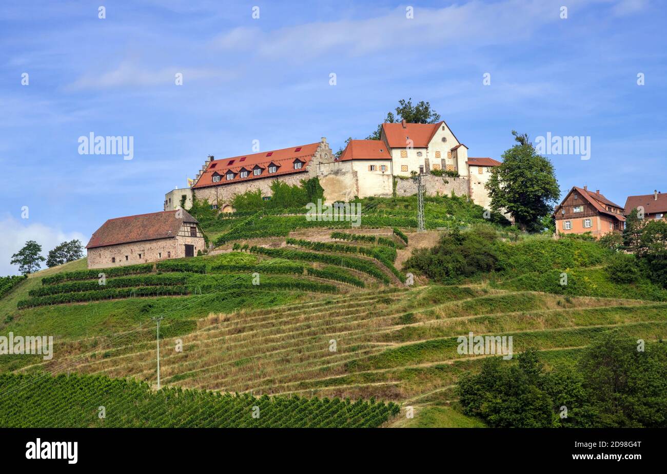 Blick auf Schloss Staufenberg inmitten von Weinbergen in der Nähe des Dorfes Durbach Ortenau, Baden Württemberg, Deutschland Stockfoto