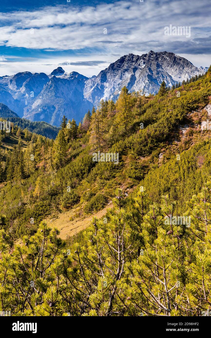 Blick vom Hagengebirge in Richtung Watzmann im Berchtesgadener Land, Bayern, Deutschland, im Herbst. Stockfoto